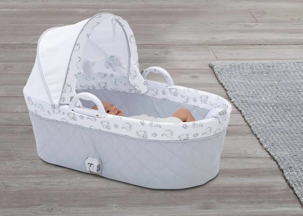 2 in 1 Bassinet