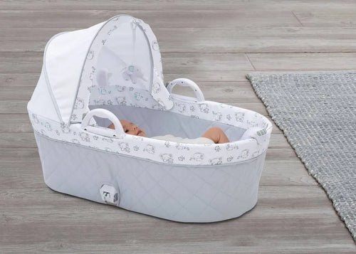2 in 1 Bassinet
