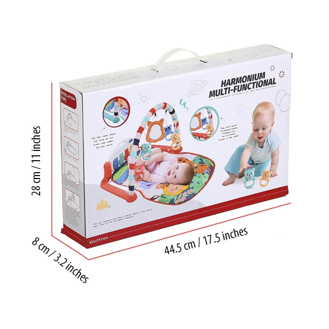 Harmonium multi-functional education