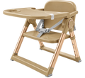 Fold up Adjustable Chair