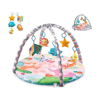 4 in 1 Happy Space Play Gym