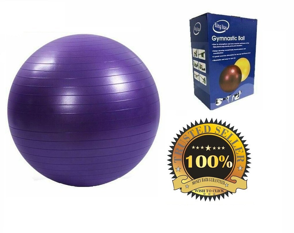 King Lion Gymnastic Ball