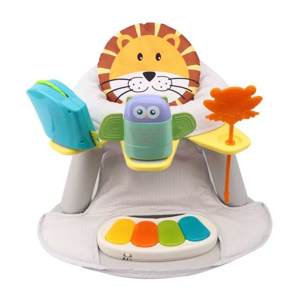 42673251-BB558-1 2 In 1 Fitness Dining Chair